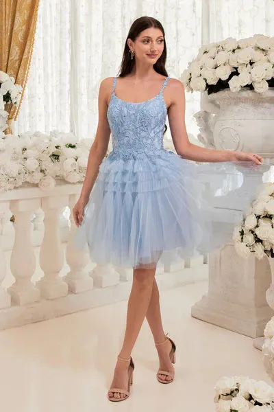 Blue Pleated A-Line Short Dress